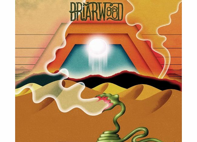 FIRE RECORDS Briarwood [VINYL]